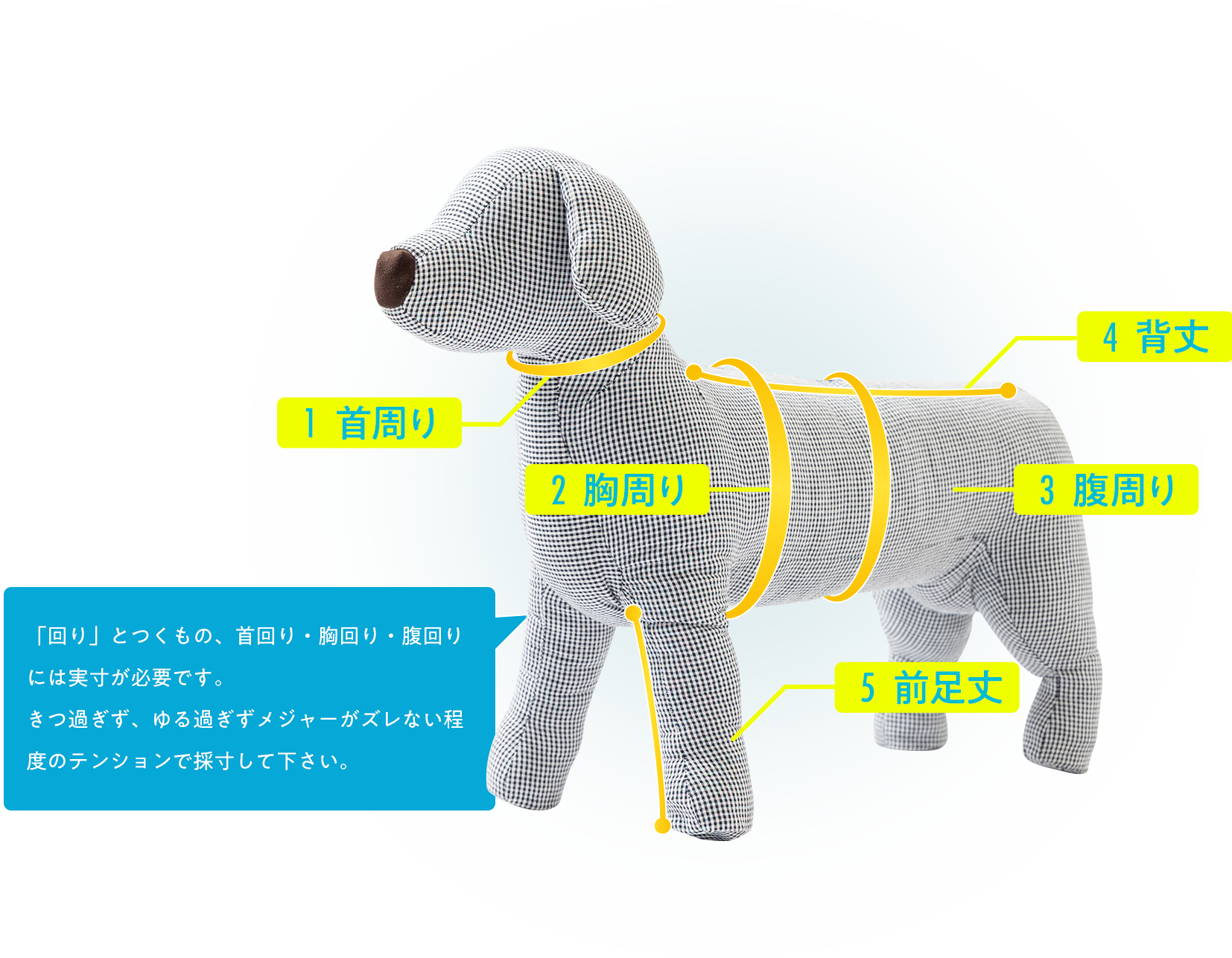 採寸のイメージ
